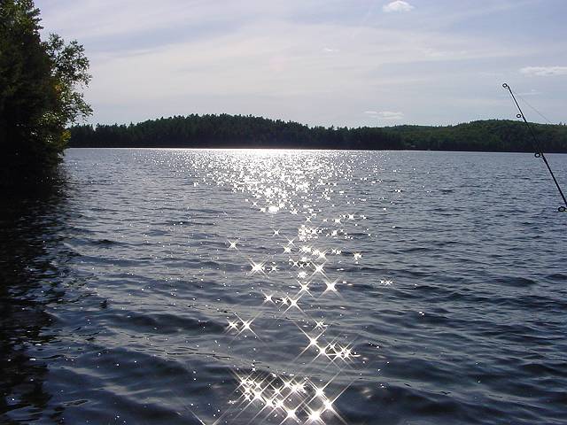 sunshine1.jpg (640x480; 57896 bytes)